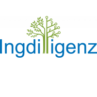 Ingdilligenz GmbH